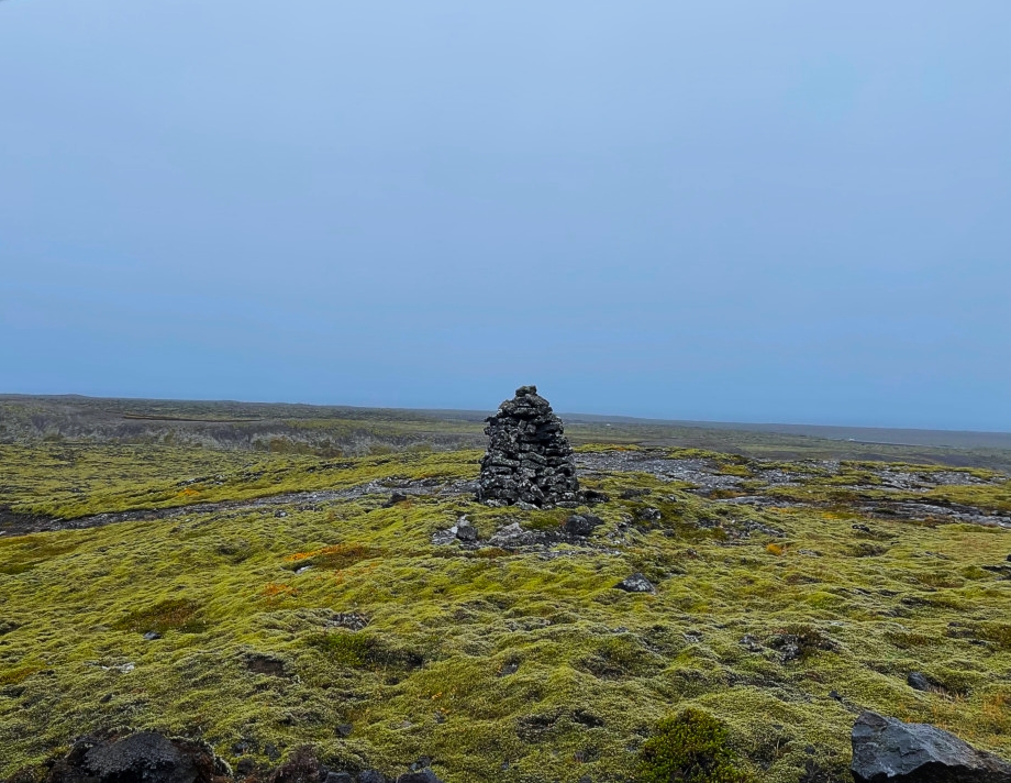 Moss-grown lava field in Iceland